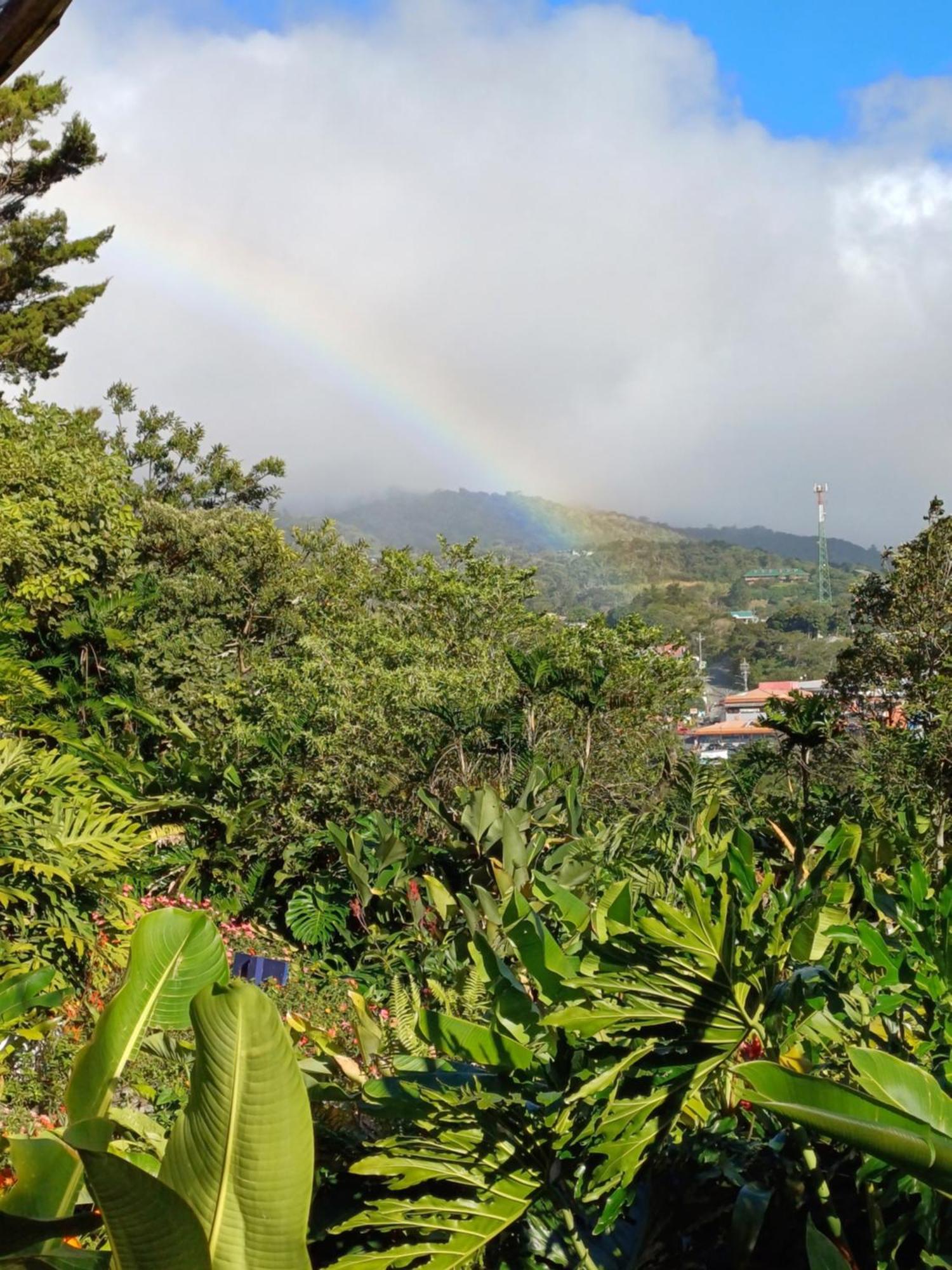 Hotel Claro De Luna Monteverde Kültér fotó