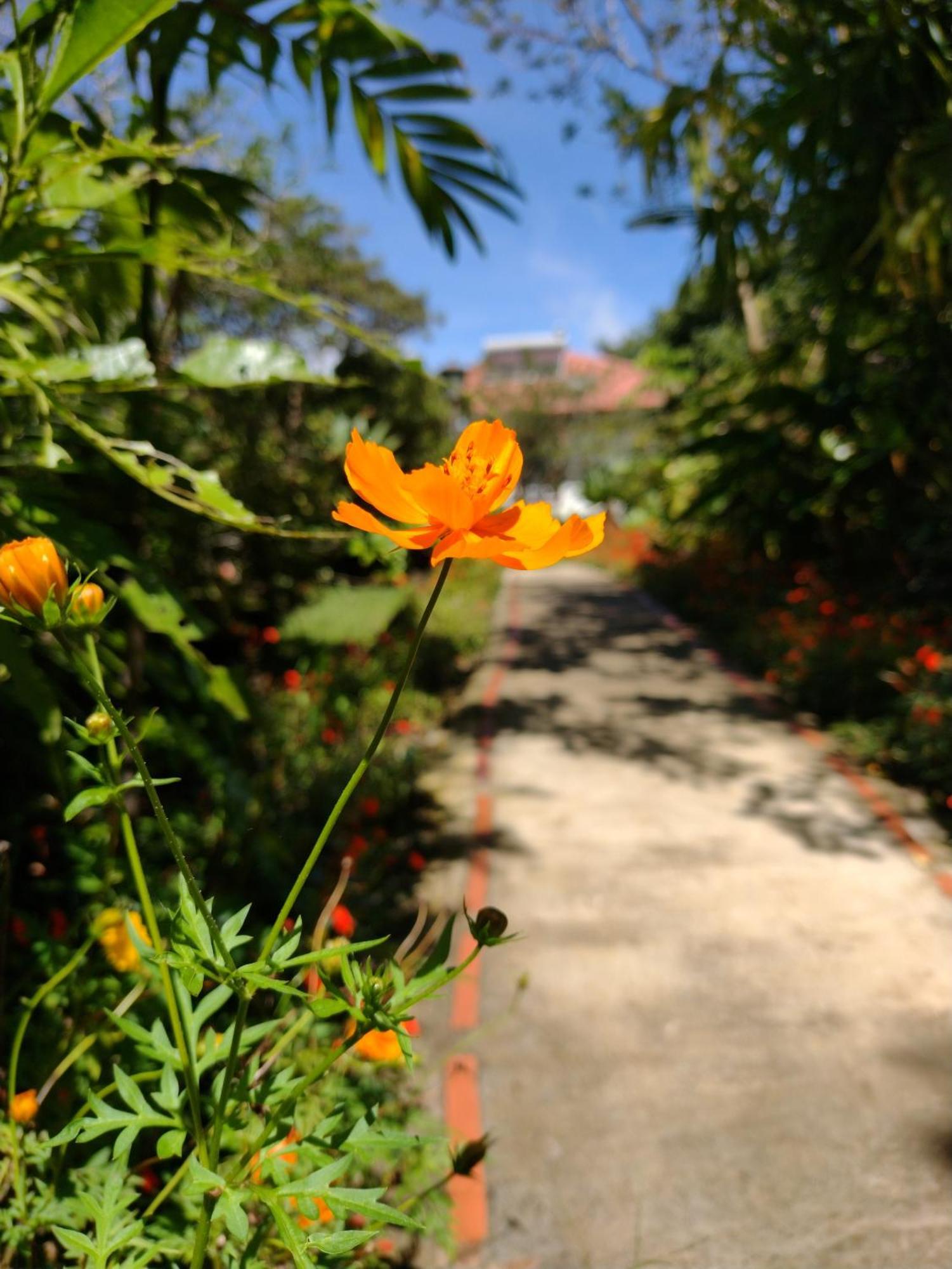 Hotel Claro De Luna Monteverde Kültér fotó
