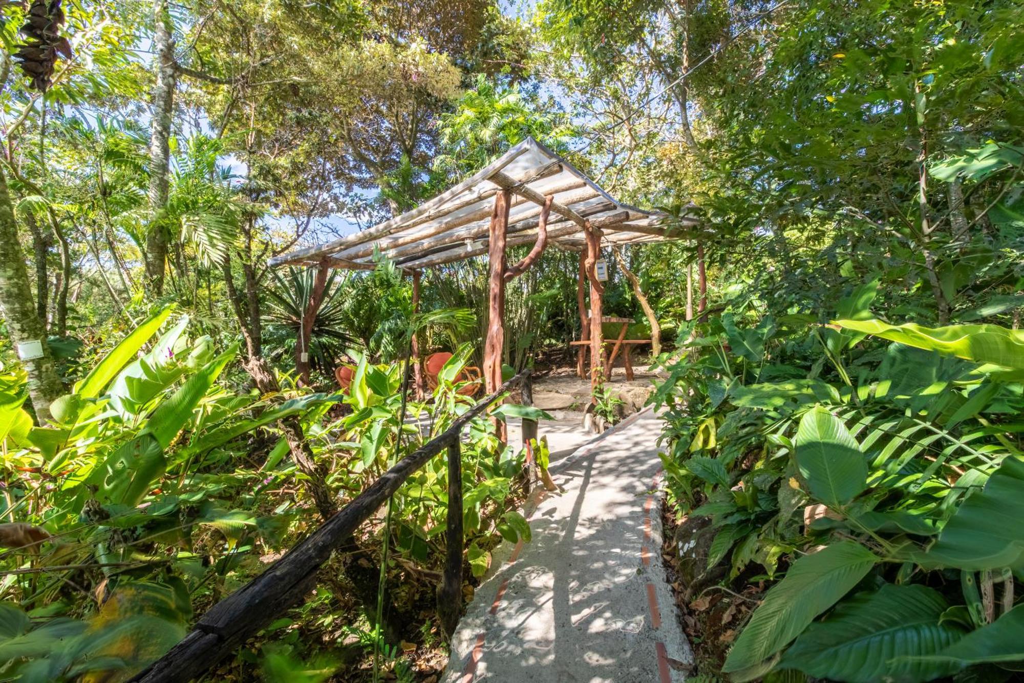 Hotel Claro De Luna Monteverde Kültér fotó