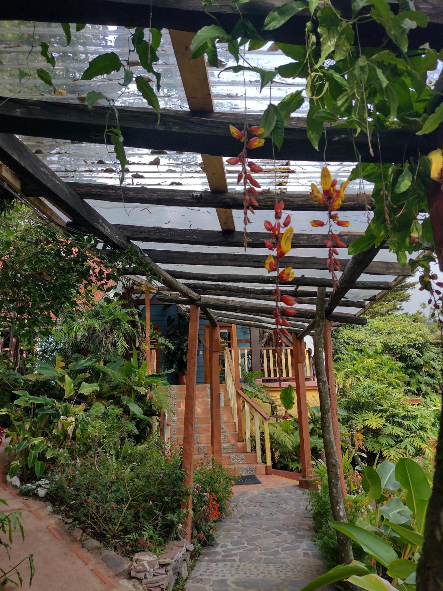 Hotel Claro De Luna Monteverde Kültér fotó