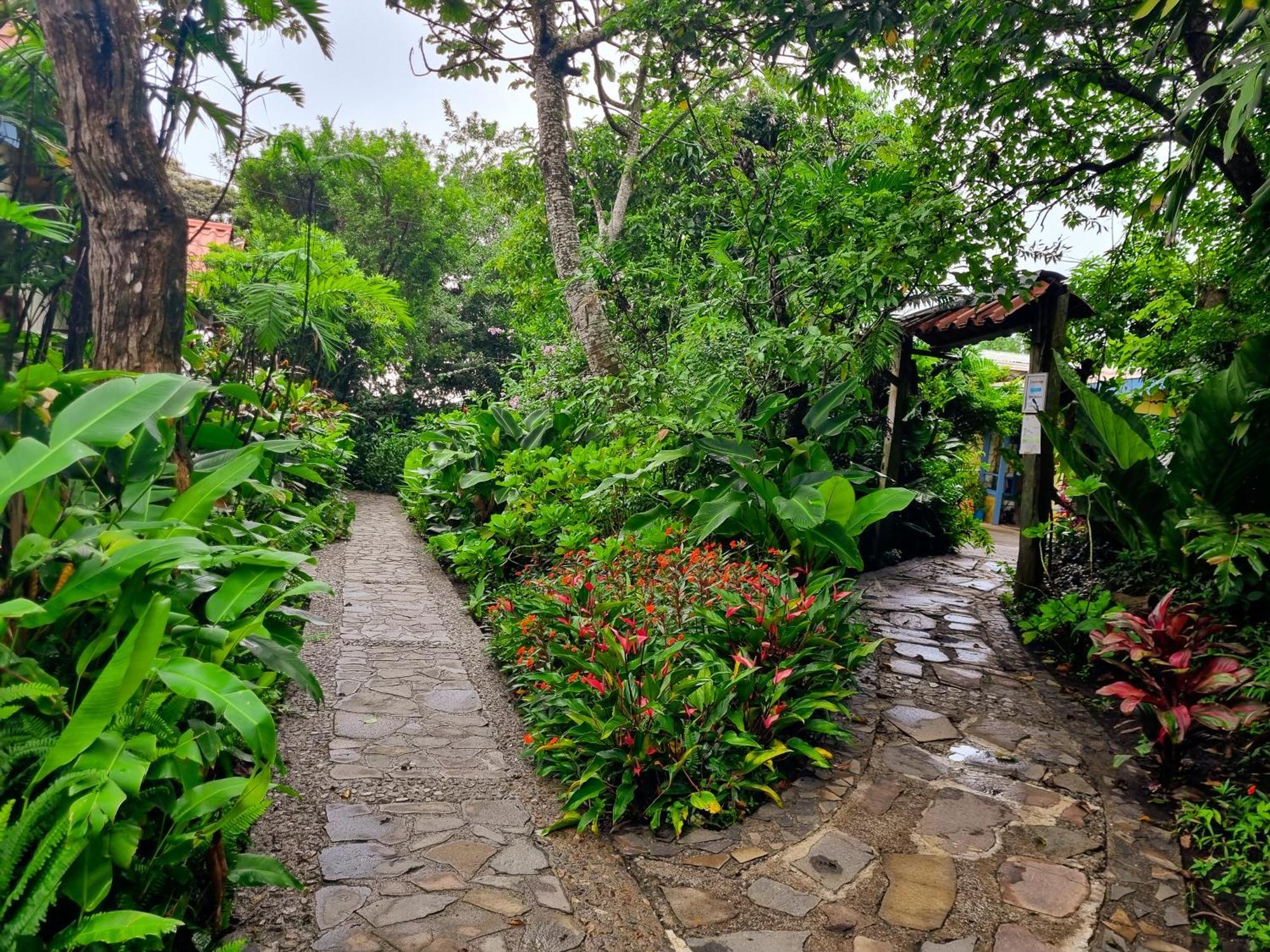 Hotel Claro De Luna Monteverde Kültér fotó