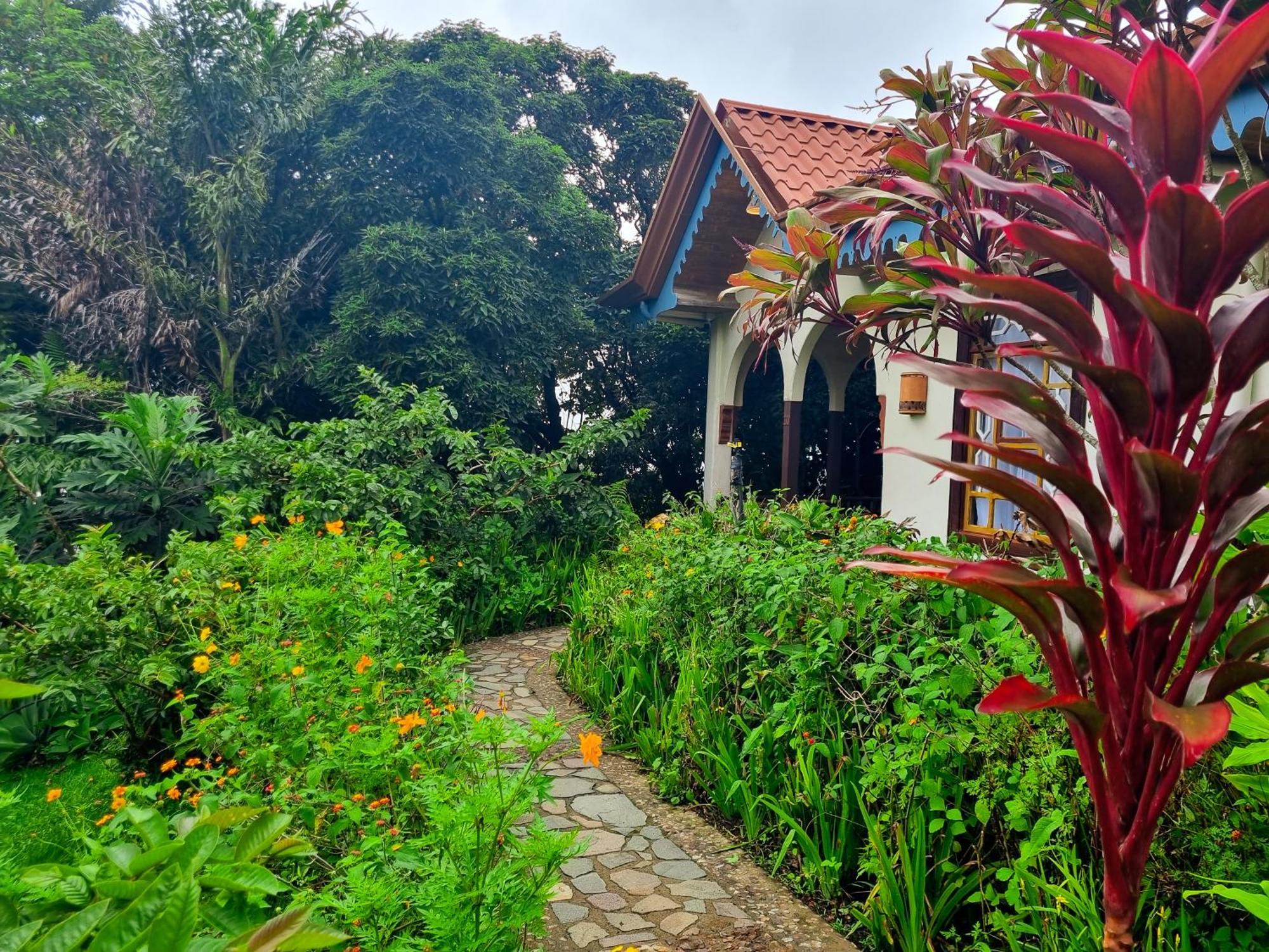 Hotel Claro De Luna Monteverde Kültér fotó